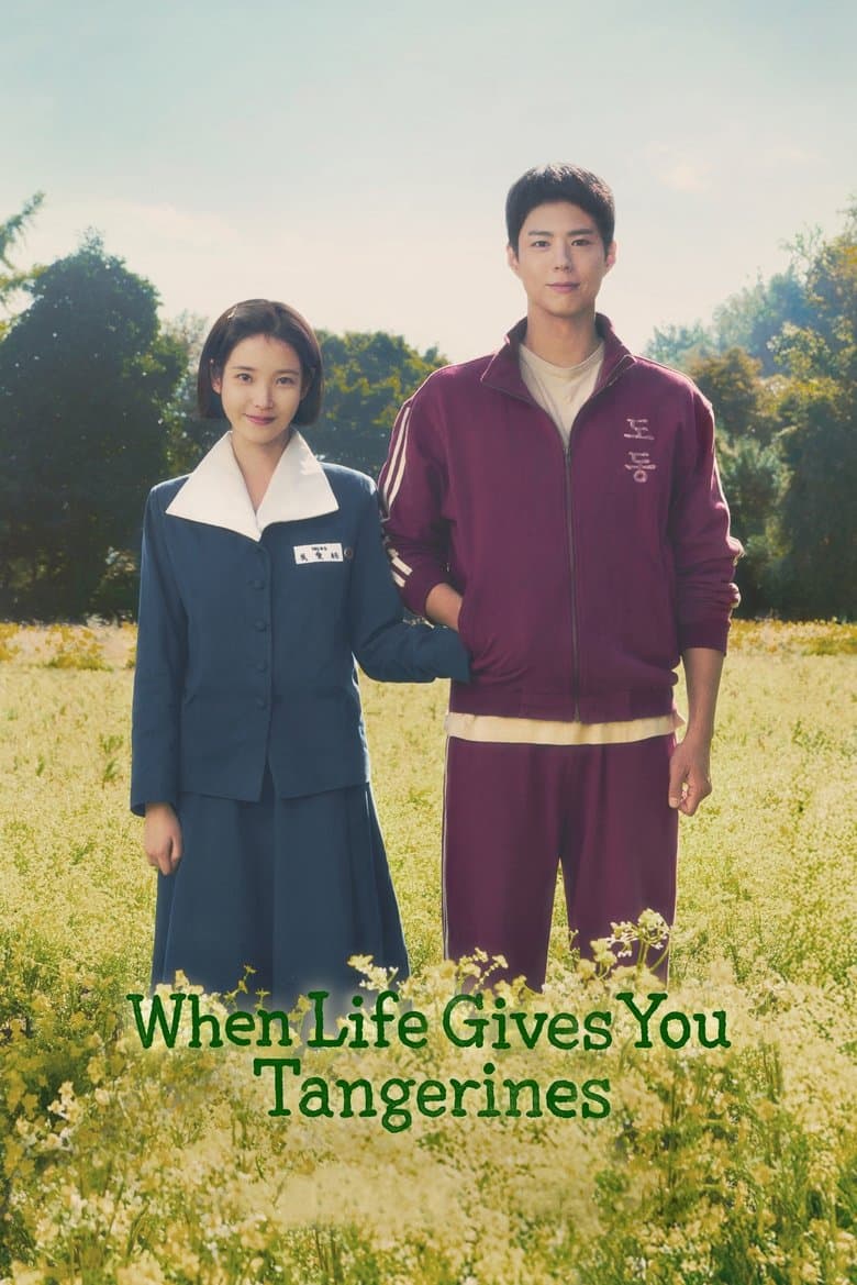 When Life Gives You Tangerines (2025) tv show - woke score, DEI themes, and editorial review on Woke or Not