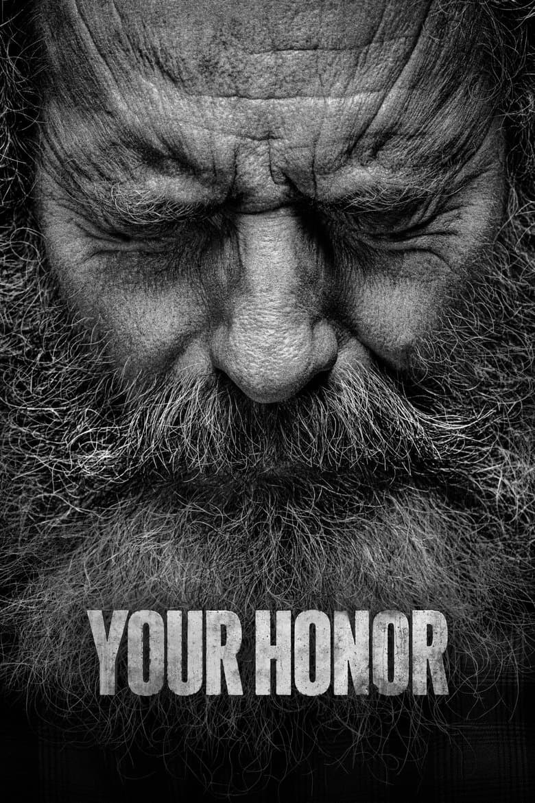 Your Honor (2020) tv show - woke score, DEI themes, and editorial review on Woke or Not
