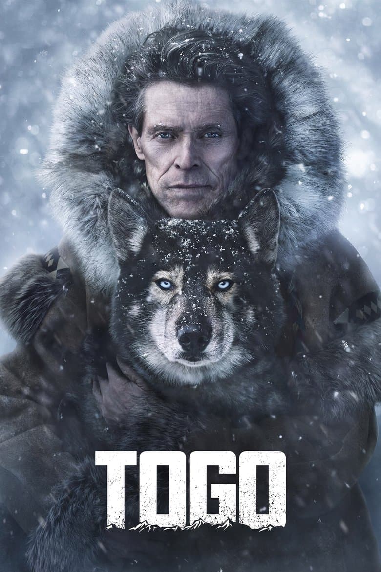 Togo (2019) movie - woke score, DEI themes, and editorial review on Woke or Not