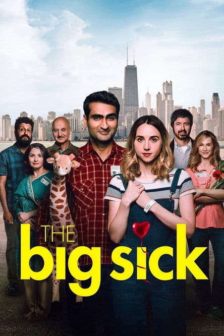 The Big Sick (2017) movie - woke score, DEI themes, and editorial review on Woke or Not