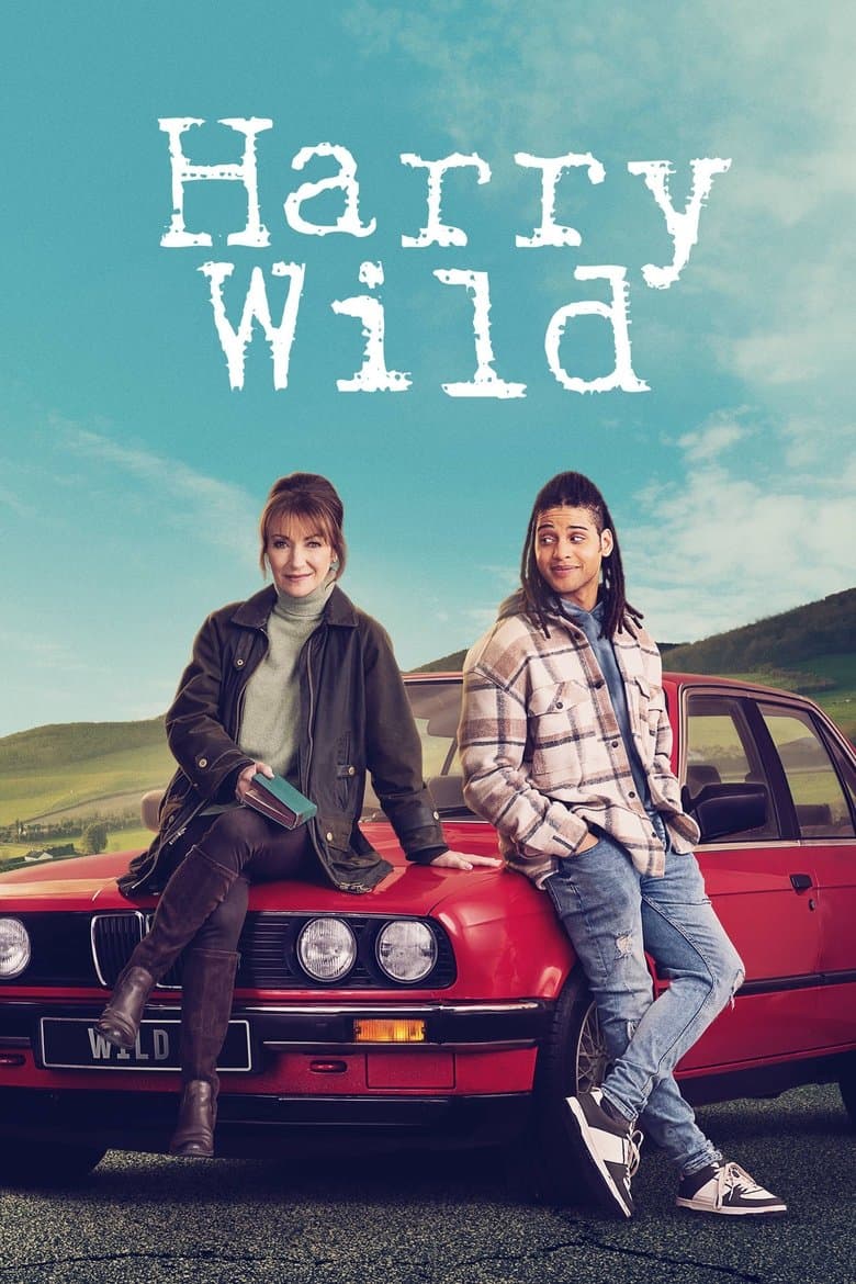 Harry Wild (2022) tv show - woke score, DEI themes, and editorial review on Woke or Not