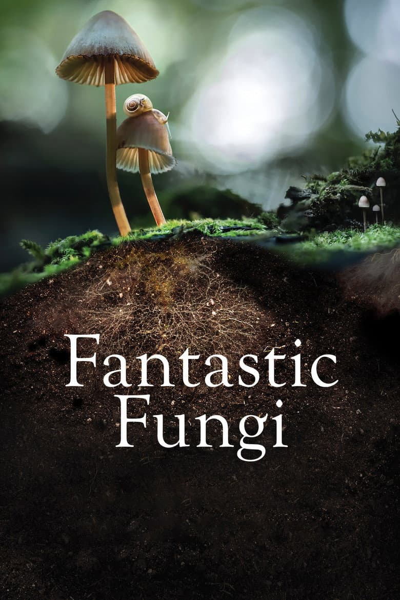 Fantastic Fungi (2019) movie - woke score, DEI themes, and editorial review on Woke or Not