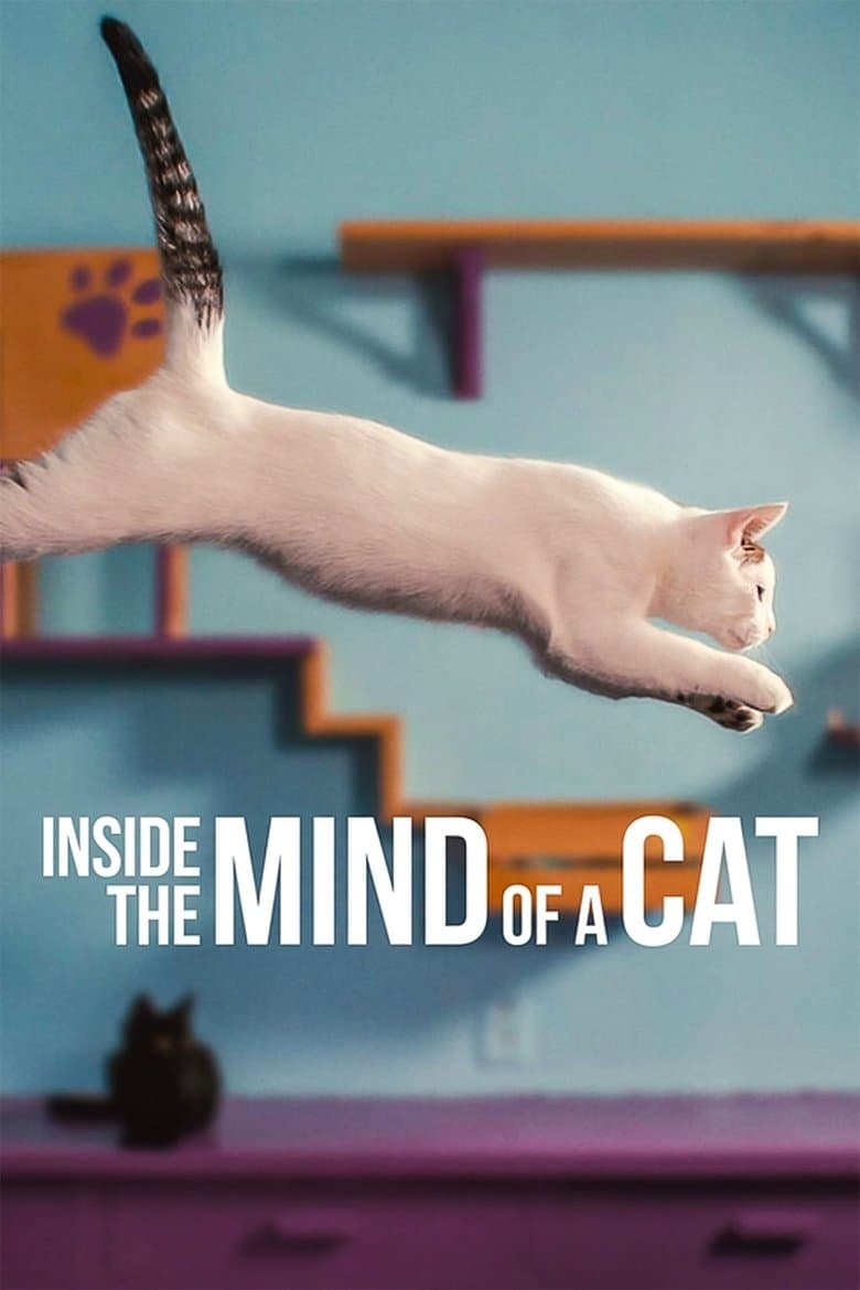 Inside the Mind of a Cat (2022) movie - woke score, DEI themes, and editorial review on Woke or Not
