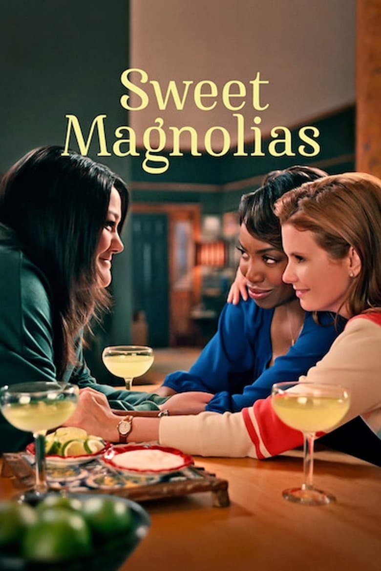 Sweet Magnolias (2020) tv show - woke score, DEI themes, and editorial review on Woke or Not