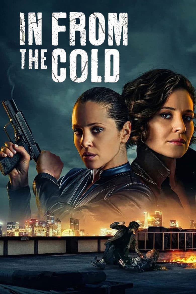 In From the Cold (2022) tv show - woke score, DEI themes, and editorial review on Woke or Not