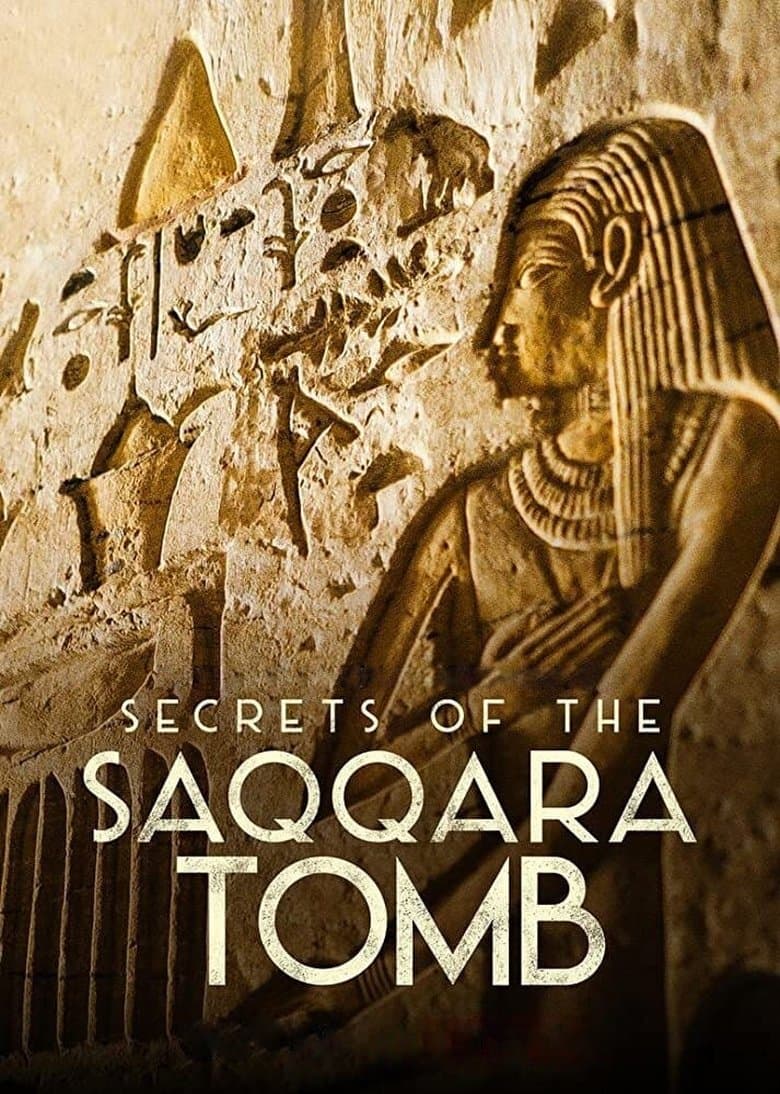 Secrets of the Saqqara Tomb (2020) movie - woke score, DEI themes, and editorial review on Woke or Not