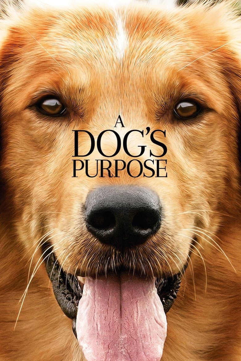 A Dog's Purpose (2017) movie - woke score, DEI themes, and editorial review on Woke or Not