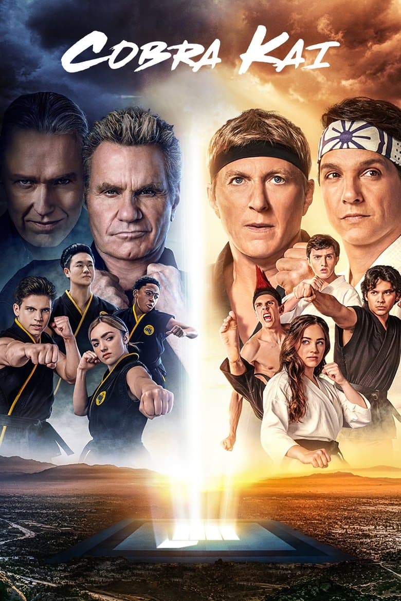 Cobra Kai (2018) tv show - woke score, DEI themes, and editorial review on Woke or Not