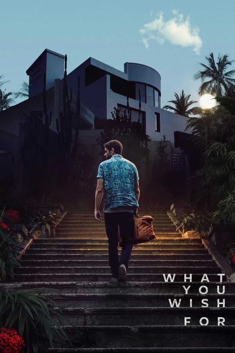 What You Wish For (2024) movie - woke score, DEI themes, and editorial review on Woke or Not