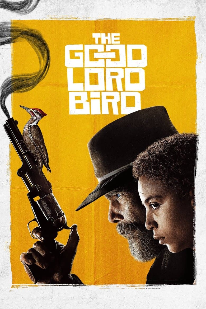 The Good Lord Bird (2020) tv show - woke score, DEI themes, and editorial review on Woke or Not