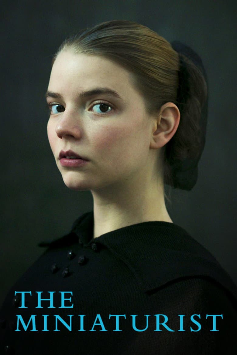 The Miniaturist (2017) tv show - woke score, DEI themes, and editorial review on Woke or Not