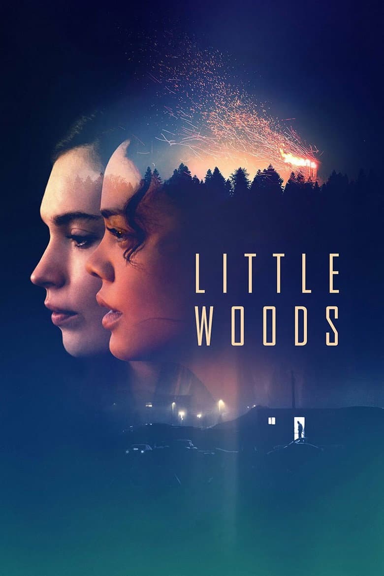 Little Woods (2019) movie - woke score, DEI themes, and editorial review on Woke or Not