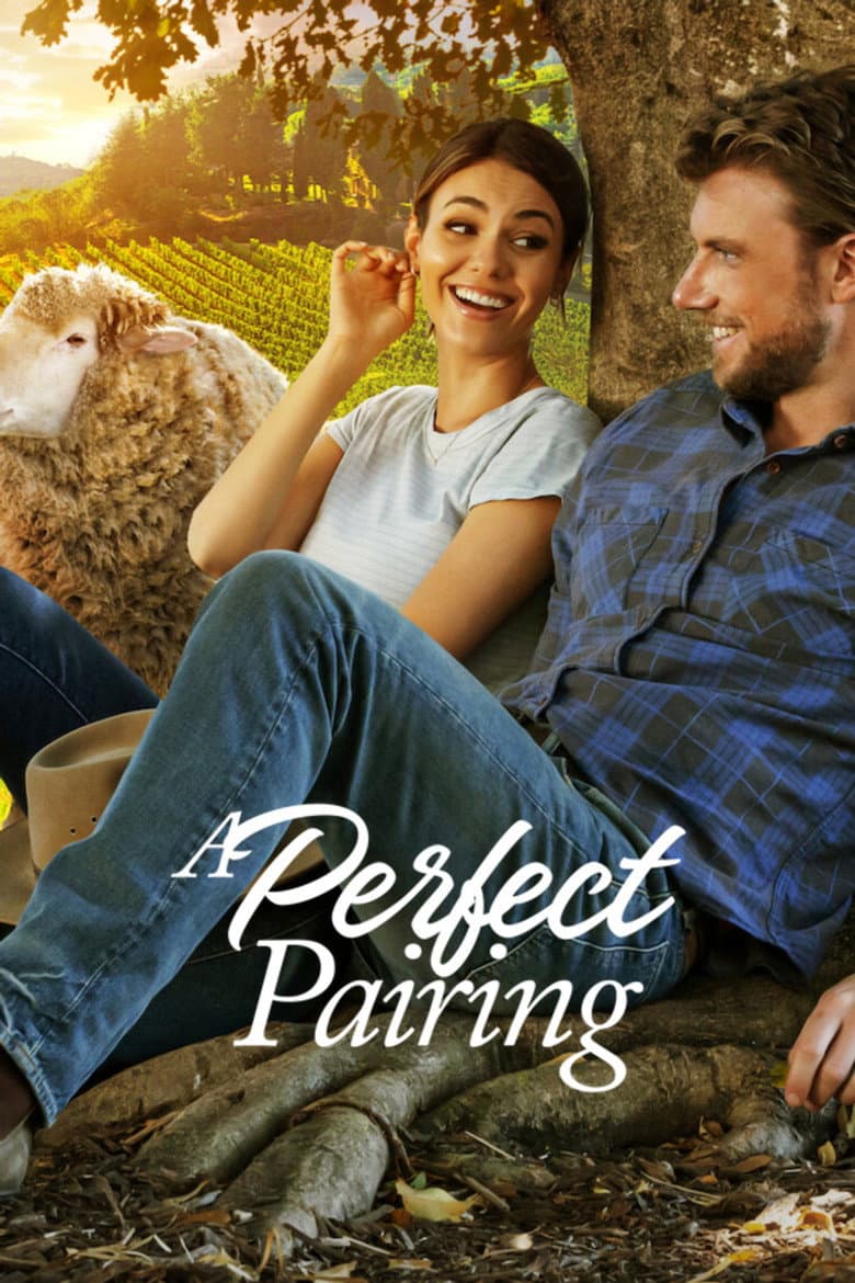 A Perfect Pairing (2022) movie - woke score, DEI themes, and editorial review on Woke or Not