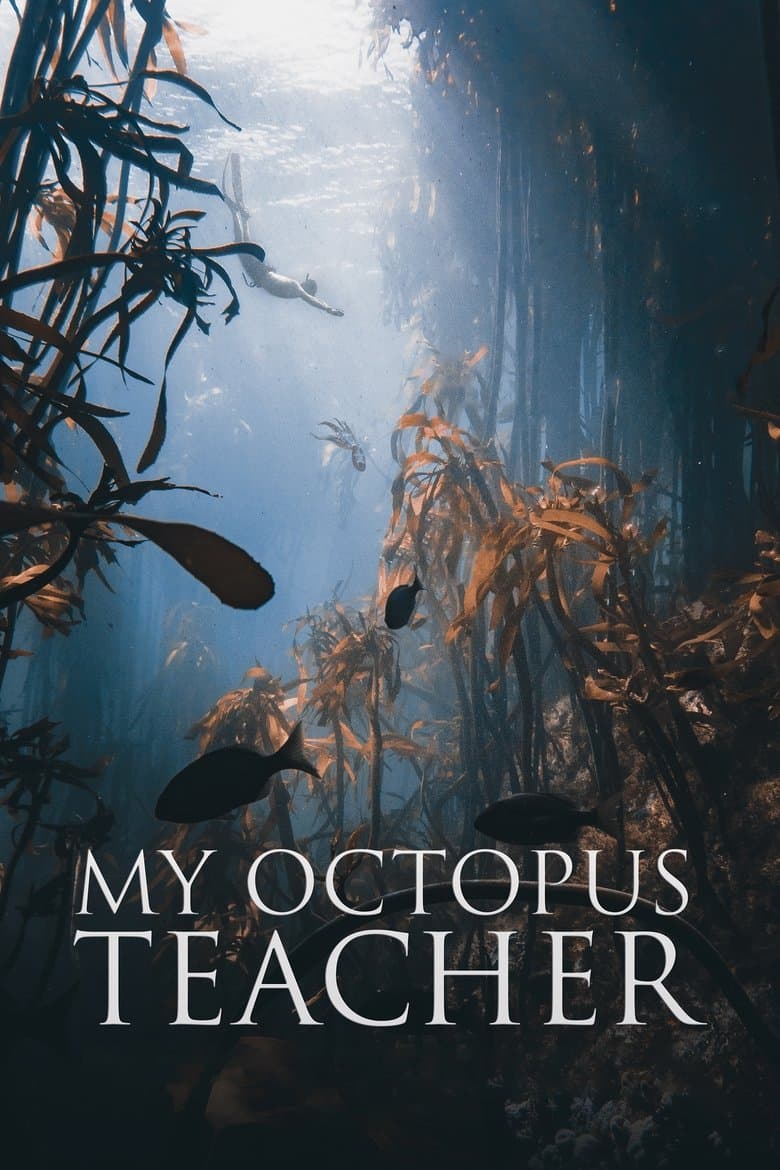 My Octopus Teacher (2020) movie - woke score, DEI themes, and editorial review on Woke or Not