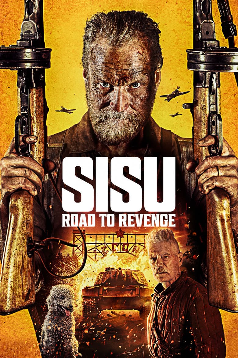 Sisu: Road to Revenge (2025) movie - woke score, DEI themes, and editorial review on Woke or Not