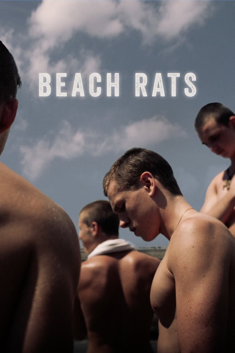 Beach Rats (2017) movie - woke score, DEI themes, and editorial review on Woke or Not