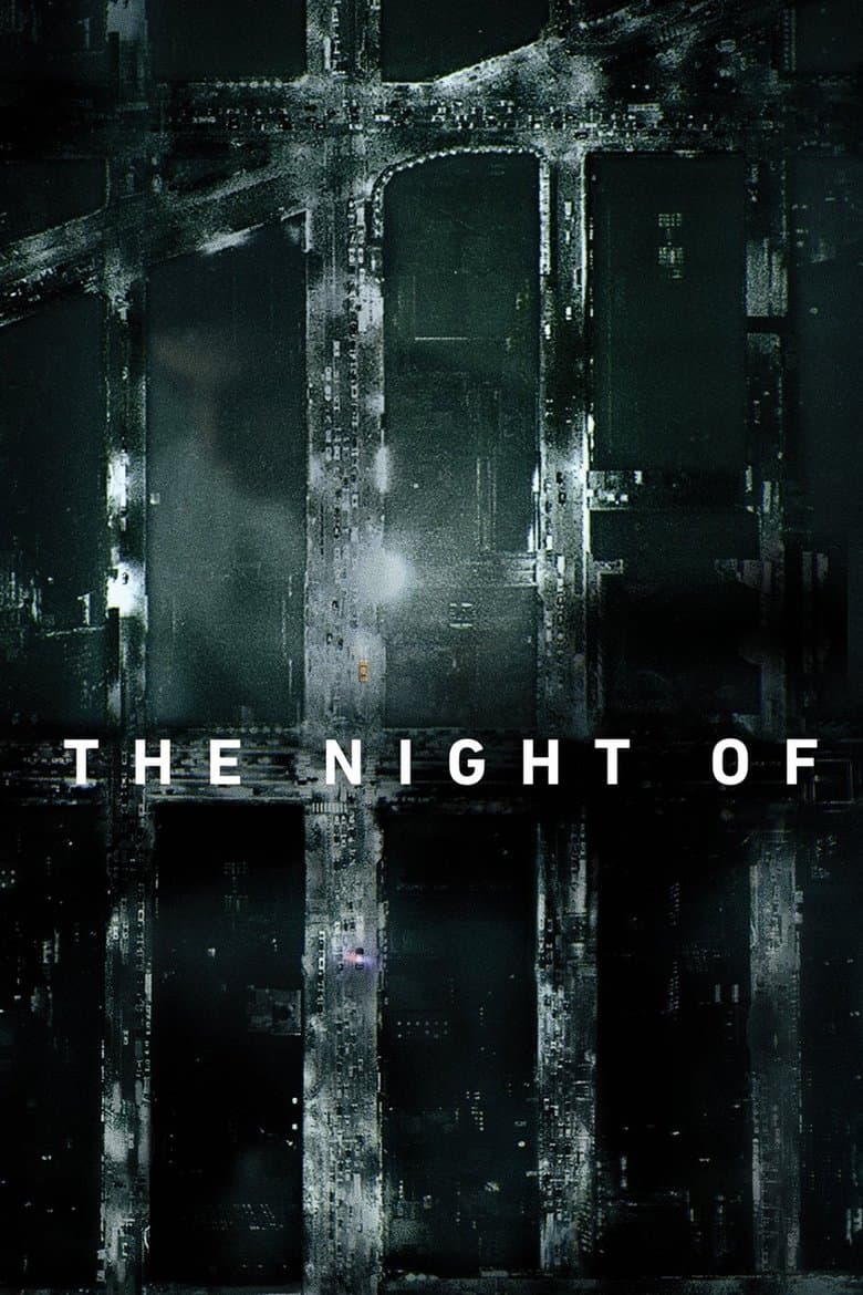 The Night Of (2016) tv show - woke score, DEI themes, and editorial review on Woke or Not