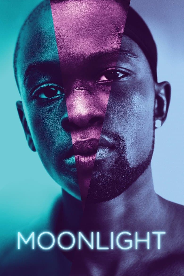 Moonlight (2016) movie - woke score, DEI themes, and editorial review on Woke or Not