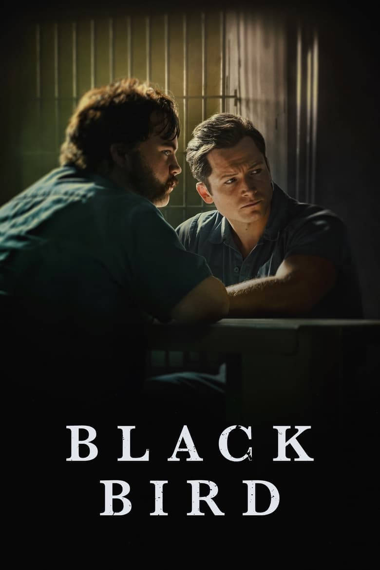 Black Bird (2022) tv show - woke score, DEI themes, and editorial review on Woke or Not