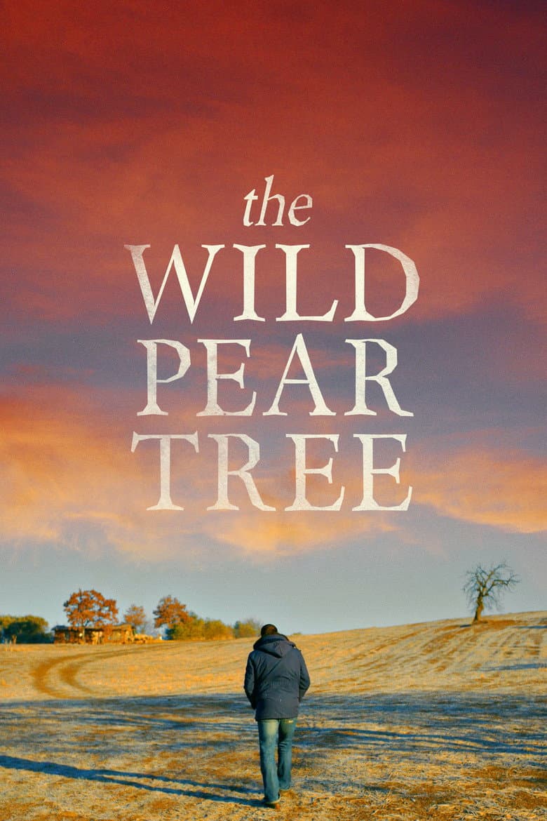 The Wild Pear Tree (2018) movie - woke score, DEI themes, and editorial review on Woke or Not
