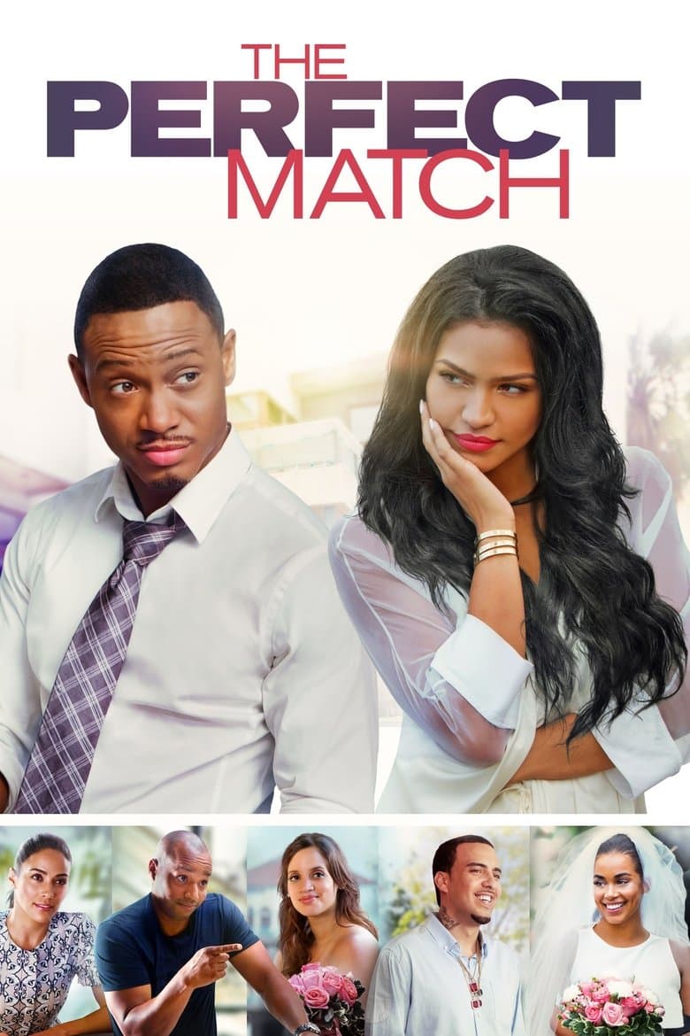 The Perfect Match (2016) movie - woke score, DEI themes, and editorial review on Woke or Not
