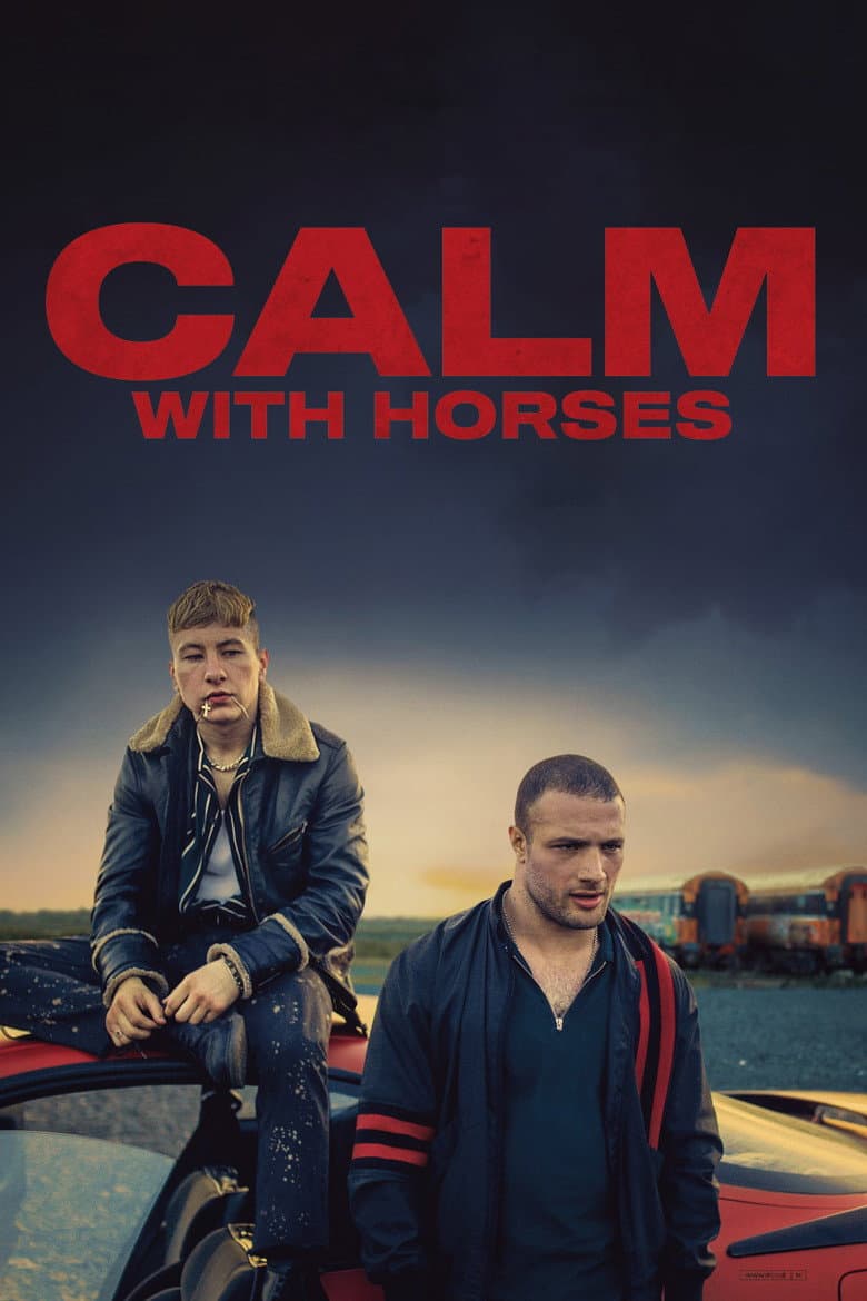 Calm with Horses (2020) movie - woke score, DEI themes, and editorial review on Woke or Not