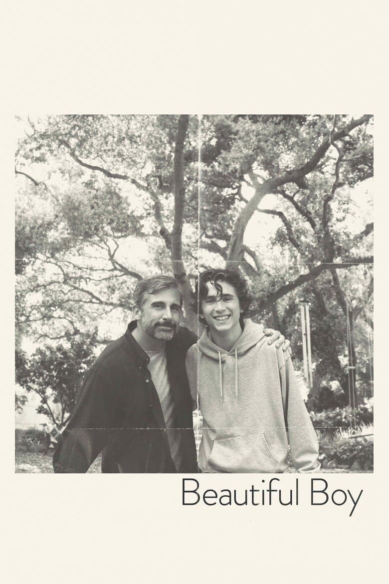 Beautiful Boy (2018) movie - woke score, DEI themes, and editorial review on Woke or Not