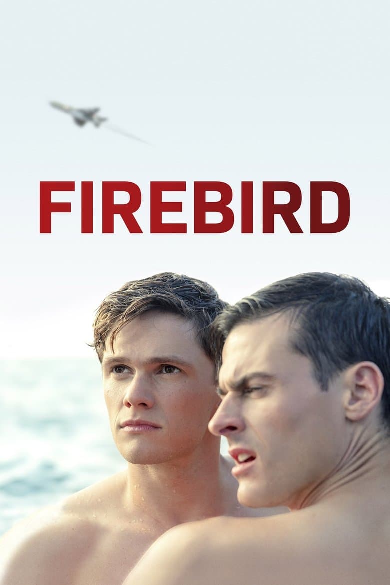 Firebird (2021) movie - woke score, DEI themes, and editorial review on Woke or Not