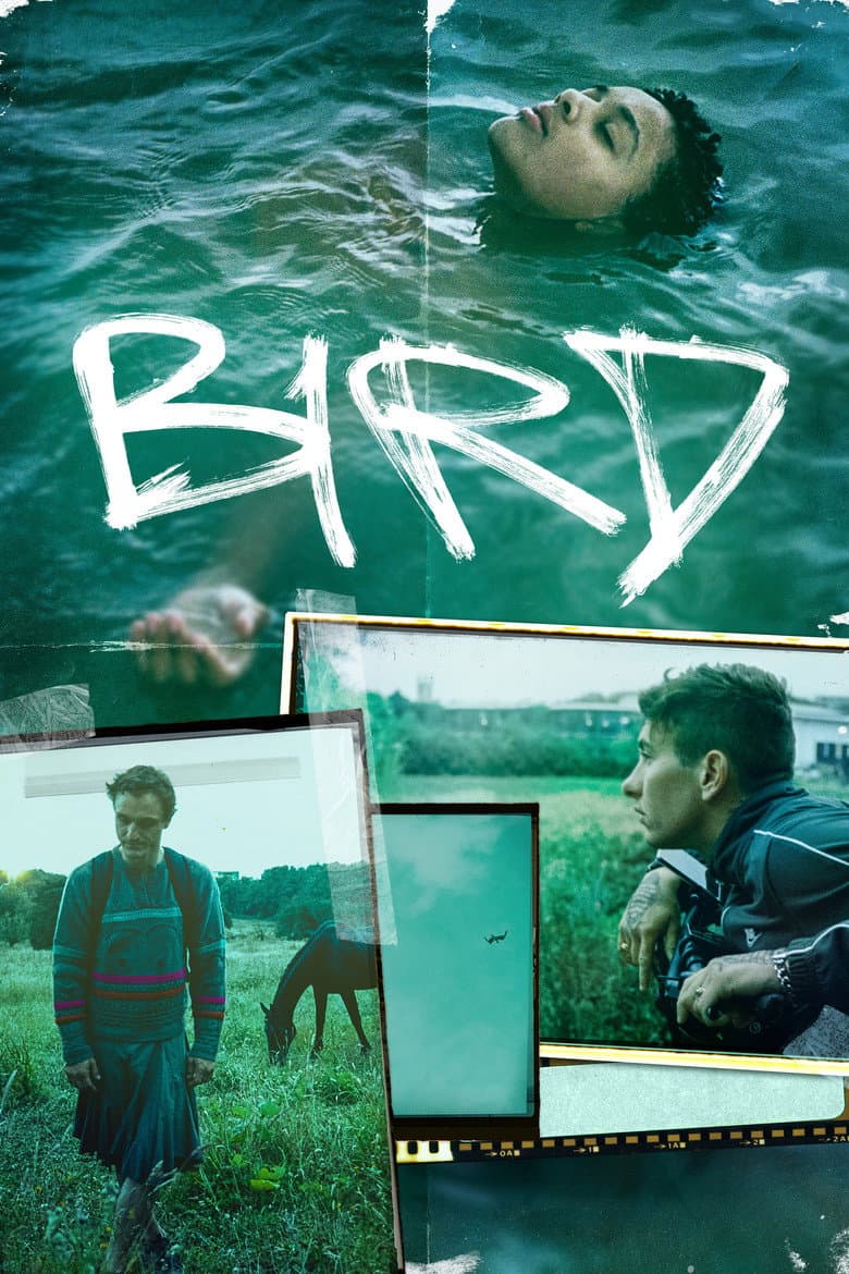 Bird (2024) movie - woke score, DEI themes, and editorial review on Woke or Not