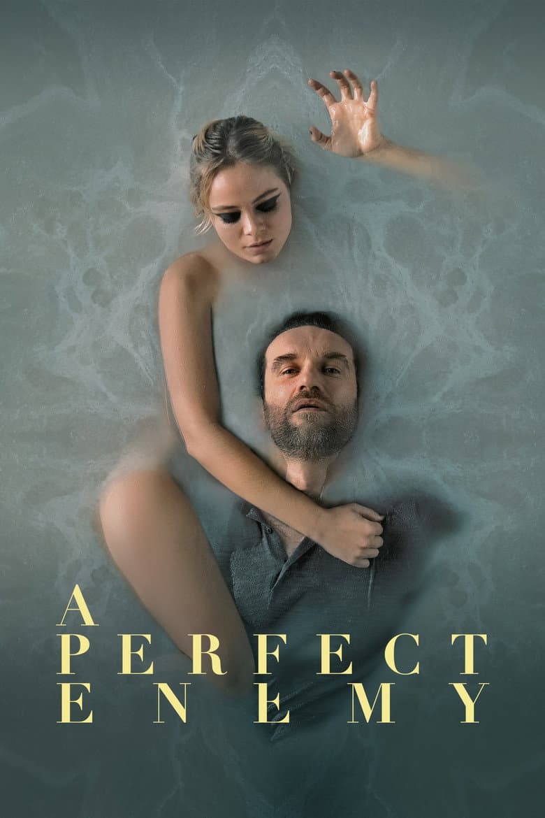 A Perfect Enemy (2021) movie - woke score, DEI themes, and editorial review on Woke or Not