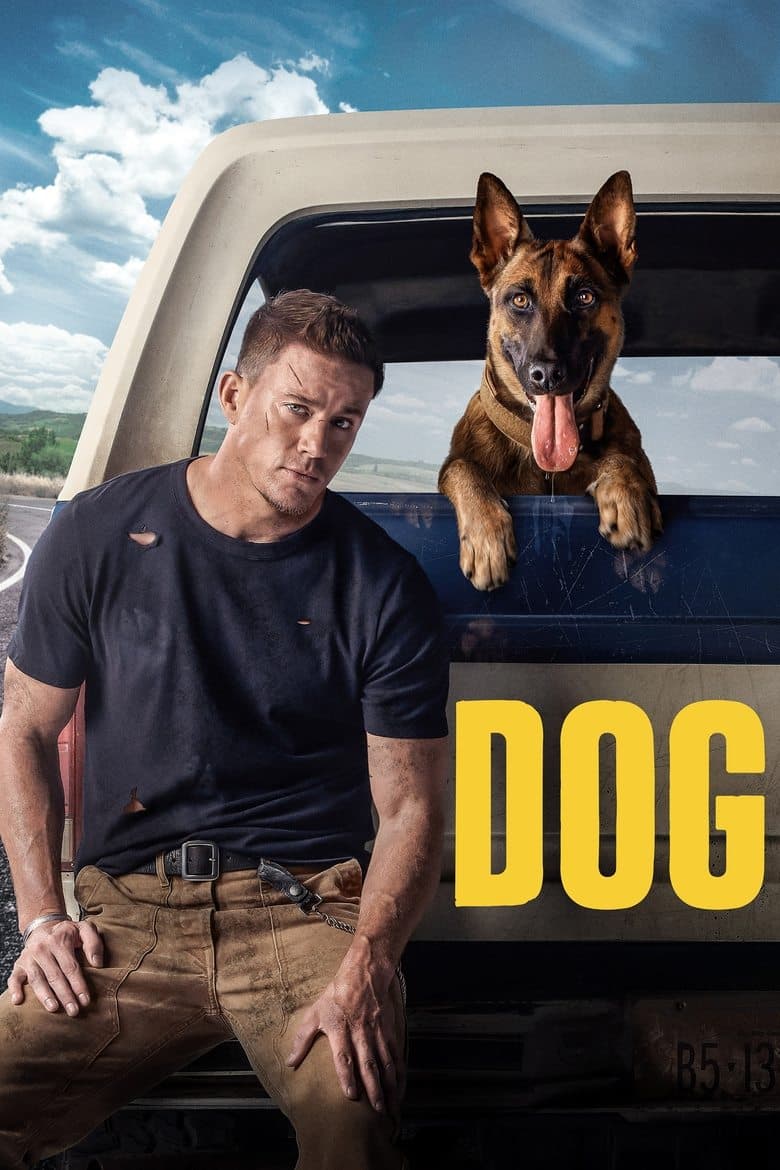 Dog (2022) movie - woke score, DEI themes, and editorial review on Woke or Not